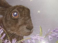 Wendy Andrews – Goddess Art