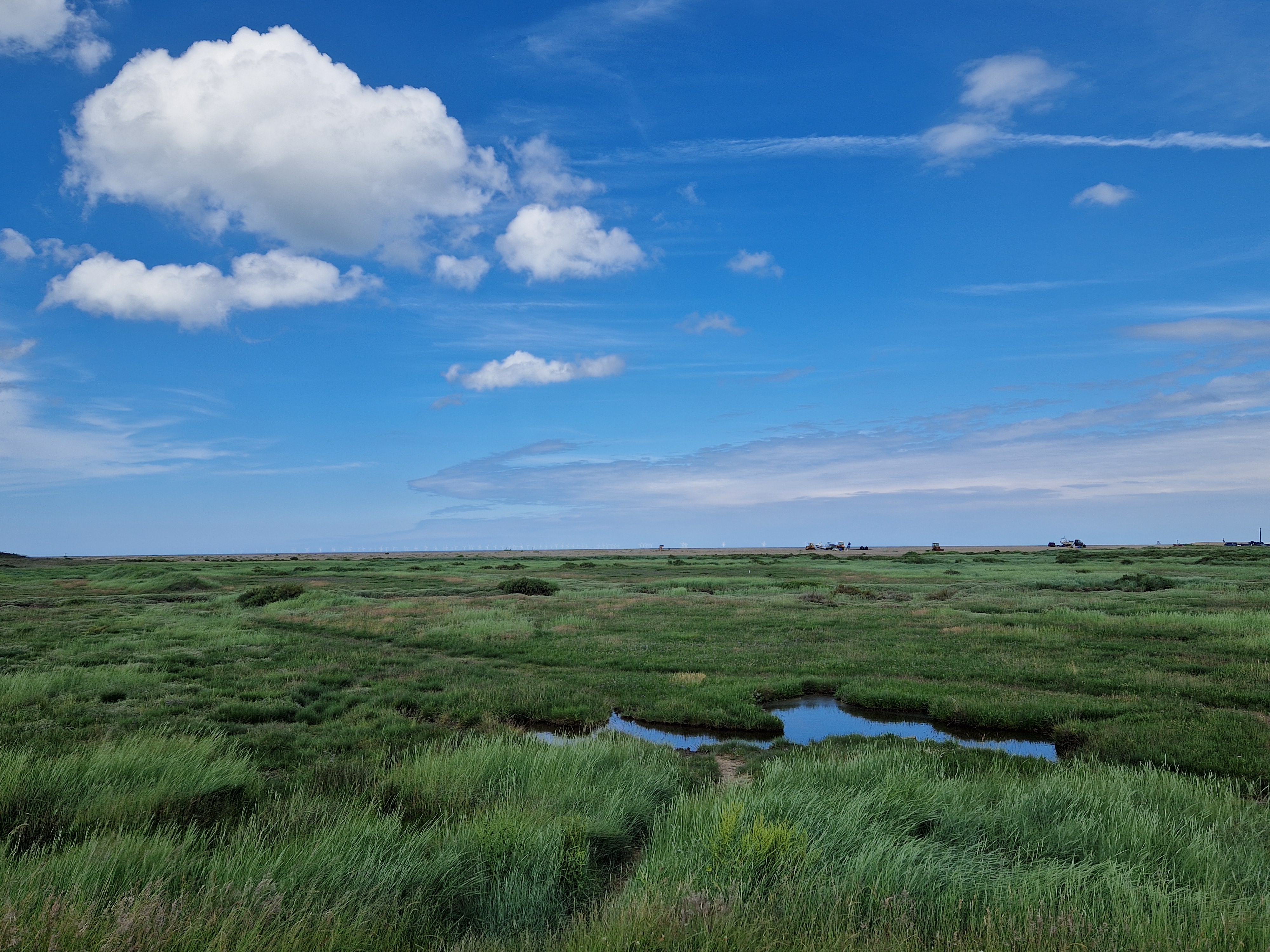 The Fen Tigers: Rebels of the Reeds